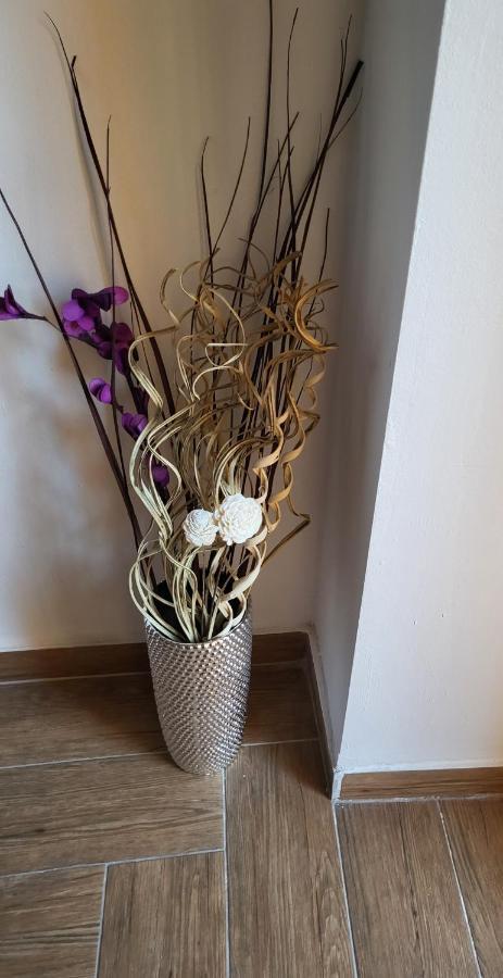 Rijeka Apartment With Free Parking And Large Balcony エクステリア 写真