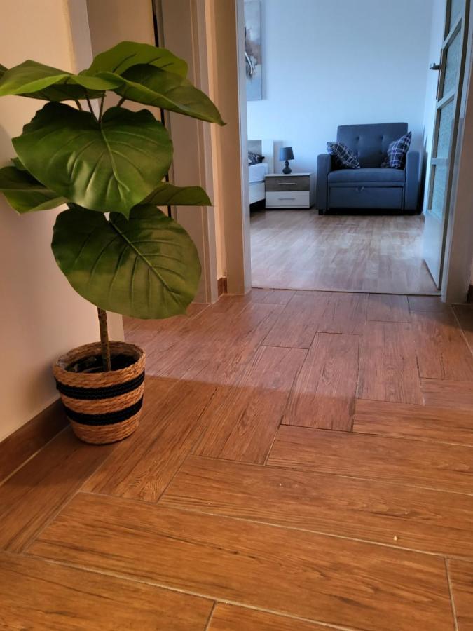 Rijeka Apartment With Free Parking And Large Balcony エクステリア 写真